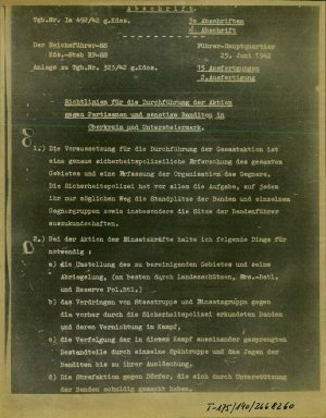 Dopis: Richtlinien für die Durchführung ...  - nosilna