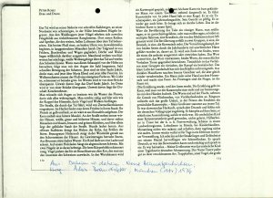 Drau und Drava  - nosilna