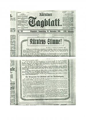 Kärntens Stimme!  - nosilna