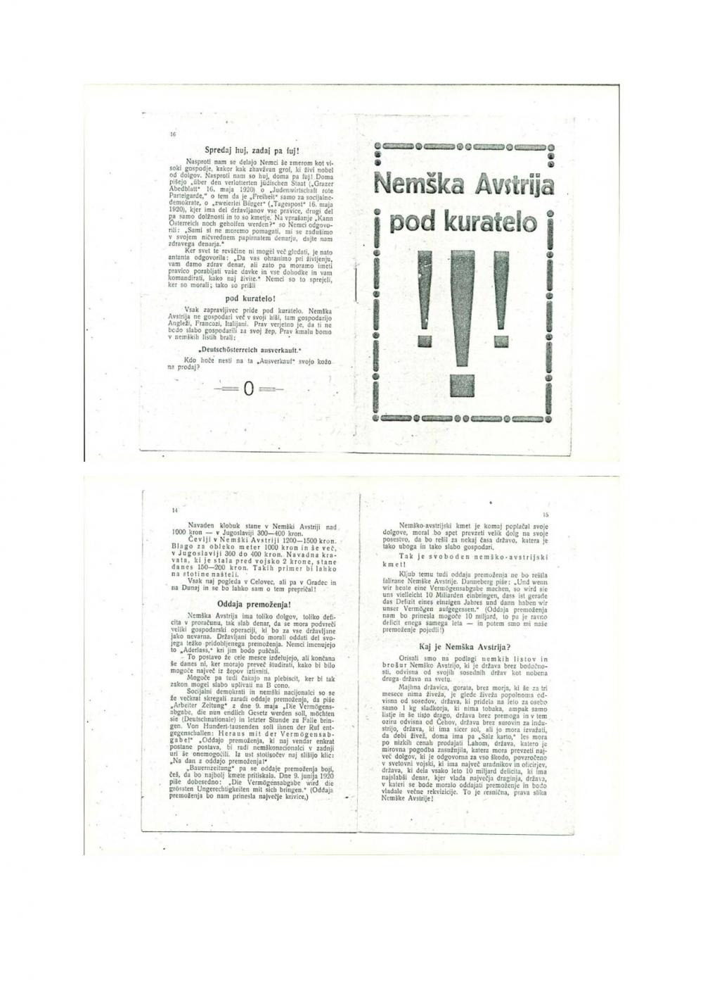 Nemška Avstrija pod kuratelo: Mirovna pogodba in Nemška Avstrija