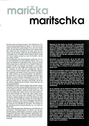 Slika za predogled št. 5