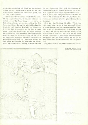 Slika za predogled št. 4