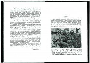 Slika za predogled št. 5