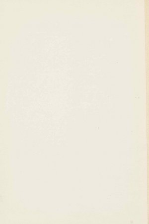 Slika za predogled št. 2