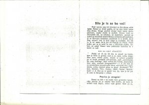 Slika za predogled št. 2