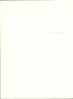 Slika za predogled št. 2