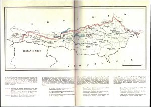 Slika za predogled št. 5