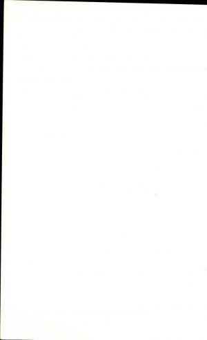 Slika za predogled št. 2