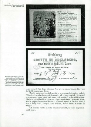 Slika za predogled št. 5