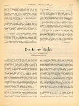 Slika za predogled št. 3