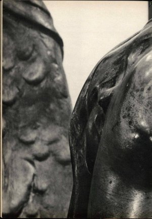 Slika za predogled št. 47