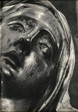 Slika za predogled št. 48