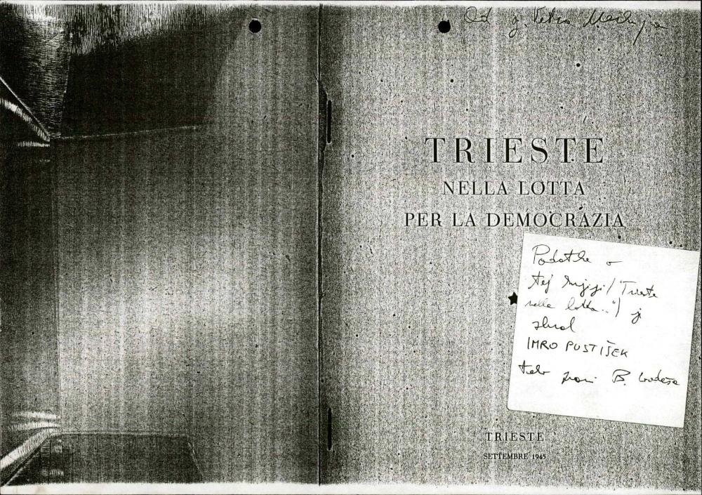 Trieste nella lotta per la democrazia