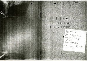 Trieste nella lotta per la democrazia  - nosilna