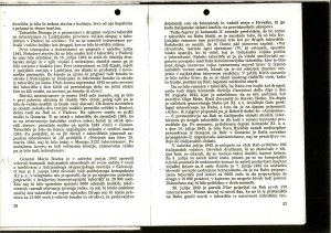 Slika za predogled št. 6