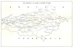 črno-bel, 62 cm x 49 cm  - nosilna