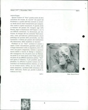 Slika za predogled št. 2