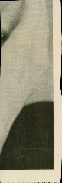 Slika za predogled št. 2