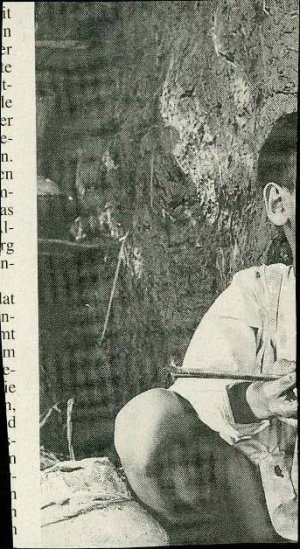 Slika za predogled št. 2